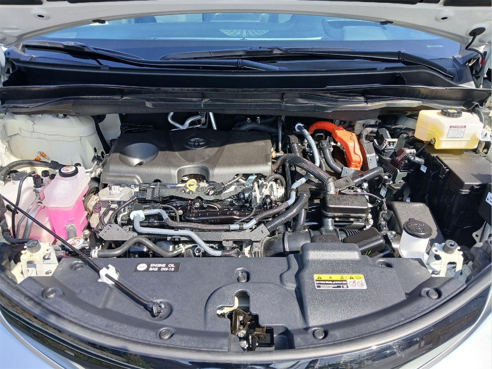 2025 Toyota Sienna Platinum 7-Passenger