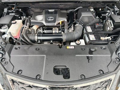 2020 Lexus NX 300 NX 300 F SPORT