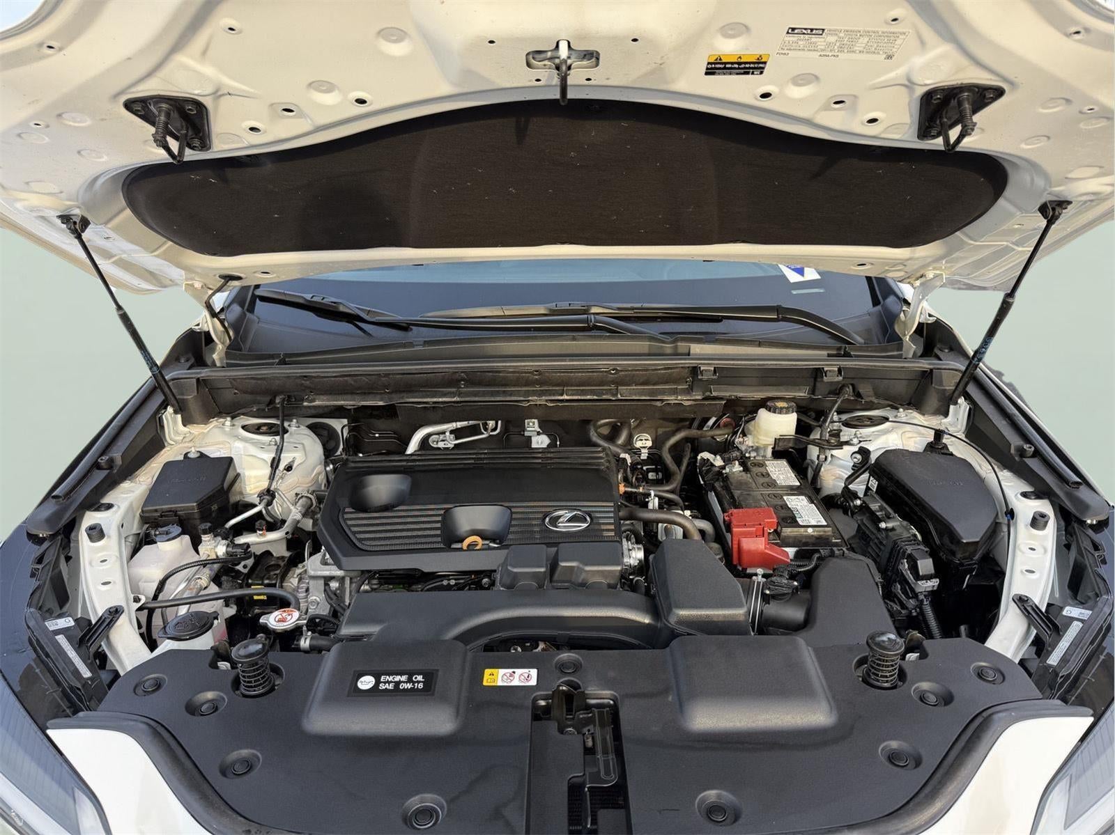 2025 Lexus NX 250 AWD