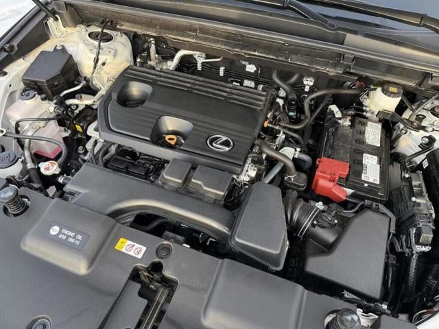 2025 Lexus NX 250 AWD