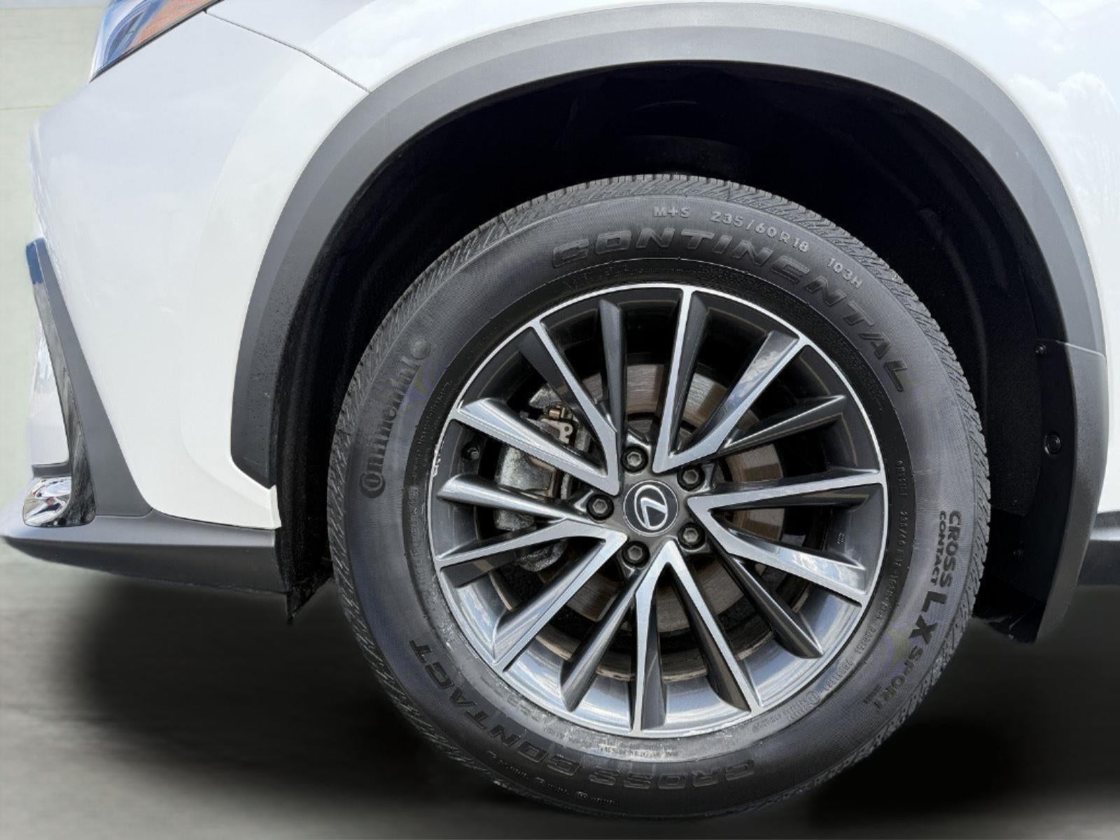 2024 Lexus NX 350 AWD