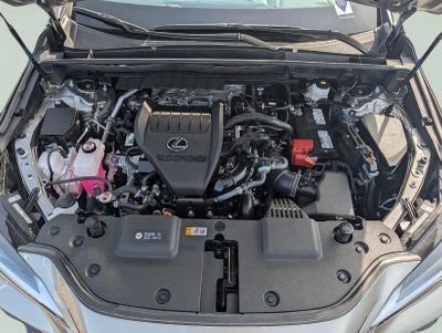 2025 Lexus NX 350 NX 350 Premium