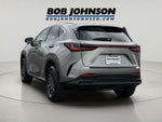 2022 Lexus NX 350 Premium