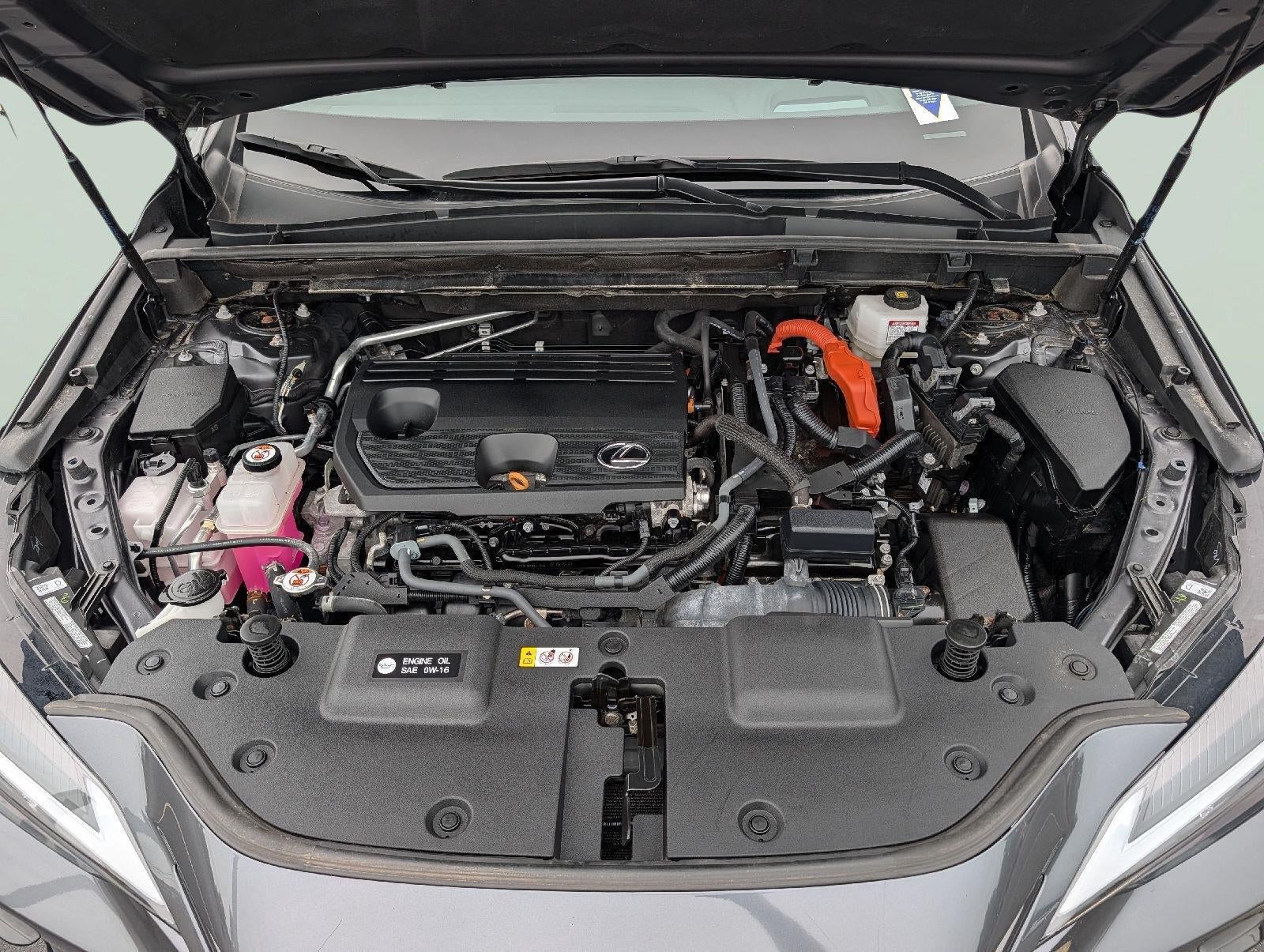 2024 Lexus Nx 350H NX 350h Premium