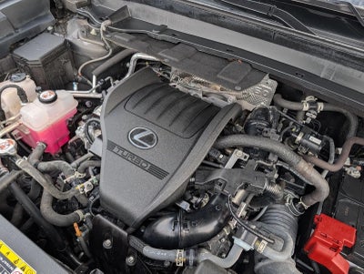 2024 Lexus TX 350 SUBN