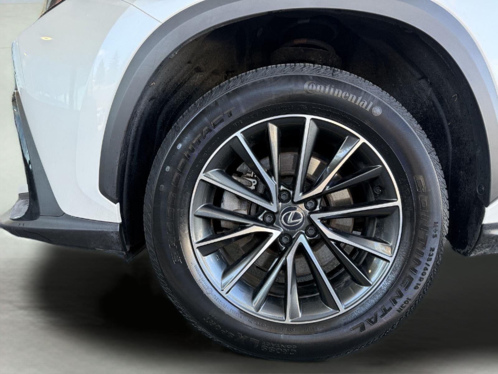 2024 Lexus NX 350 NX 350